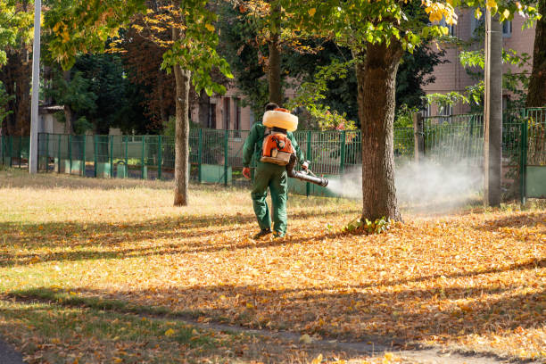 Best Pest Control for Businesses  in Island Heights, NJ